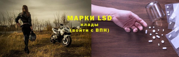 ПСИЛОЦИБИНОВЫЕ ГРИБЫ Аркадак