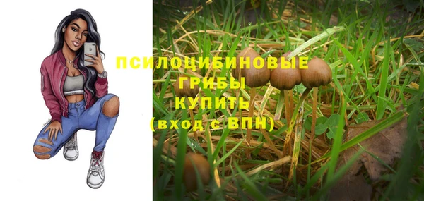 прущая мука Армянск
