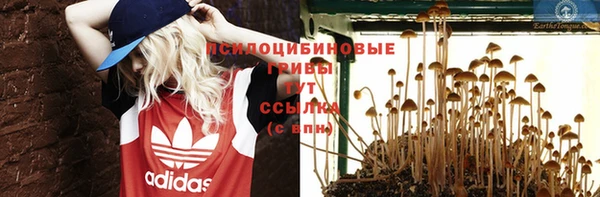 mdpv Балахна