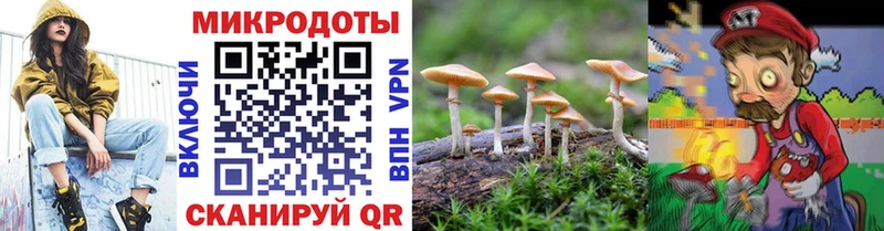 Галлюциногенные грибы MAGIC MUSHROOMS  Купить где  Татарск 